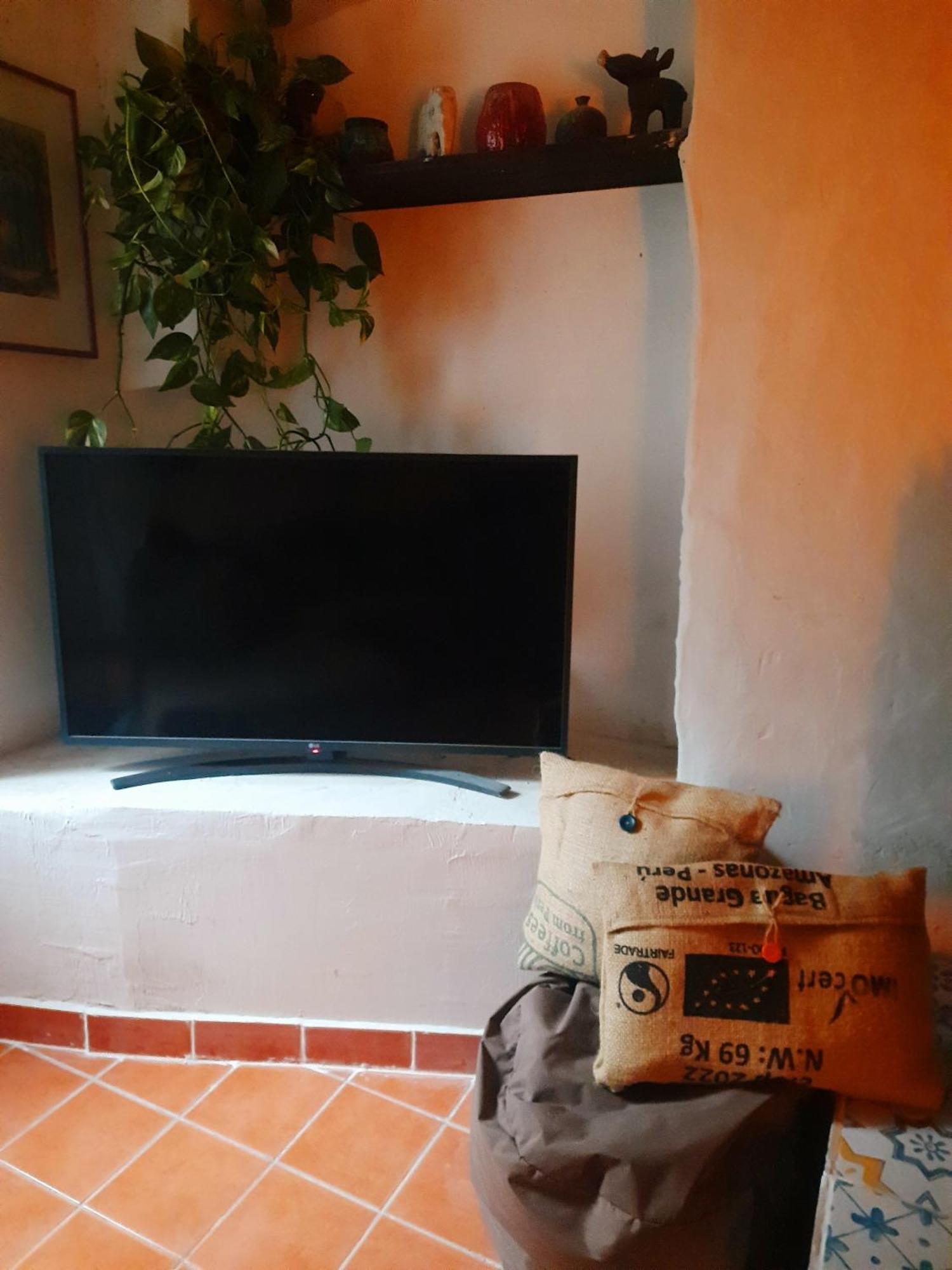 Villa Petit Moulin Le Cannet-des-Maures Esterno foto