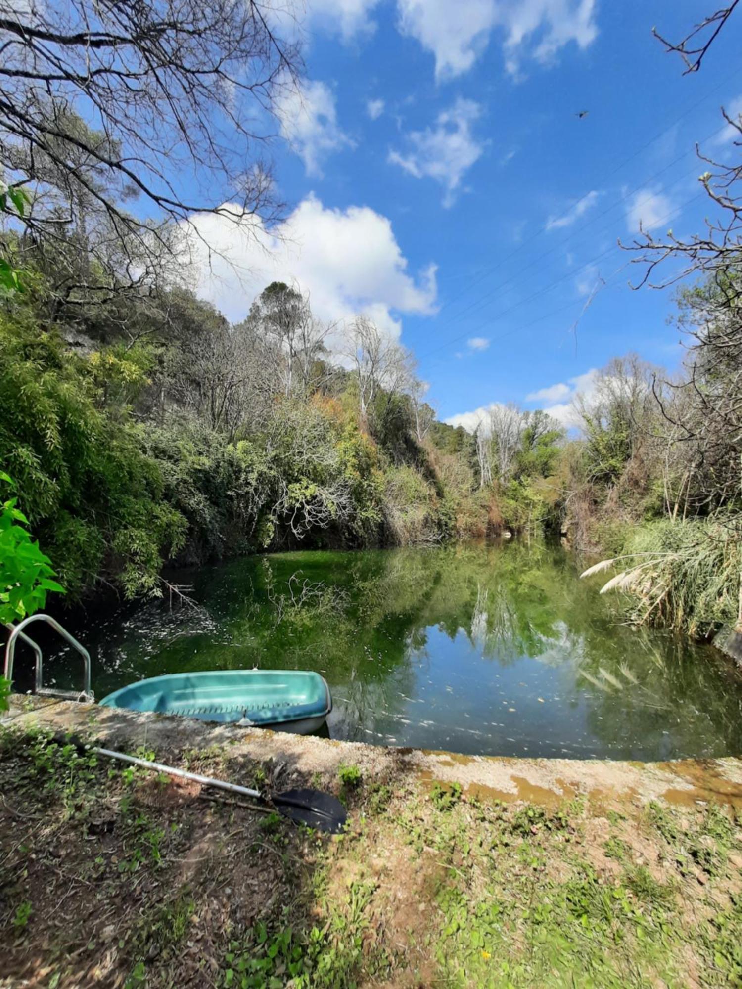 Villa Petit Moulin Le Cannet-des-Maures Esterno foto